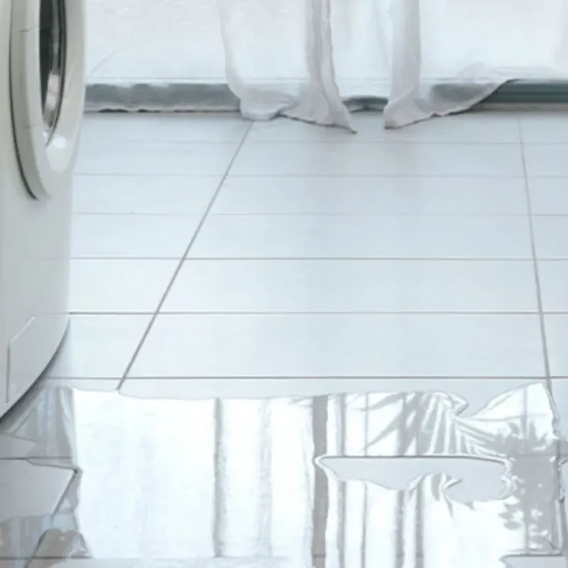 Appliance Leak Cleanup in Tangerine, FL